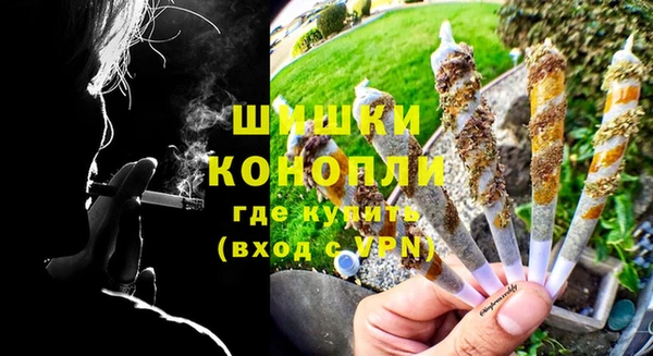 тгк Няндома