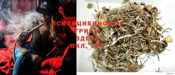 синтетический гашиш Алексин