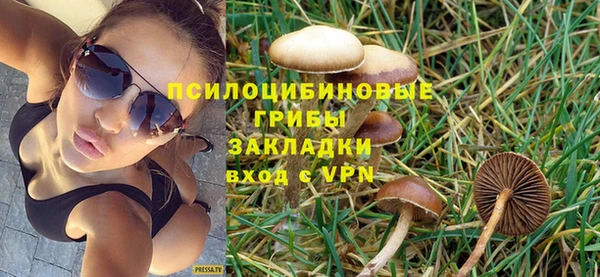 синтетический гашиш Алексин
