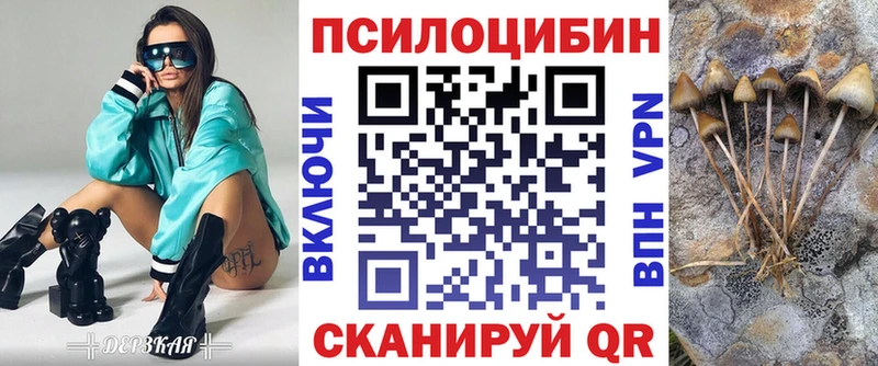 Галлюциногенные грибы Psilocybe  купить наркотик  Первоуральск 